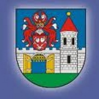 NOVOMĚSTSKÝ POHÁR 2012
