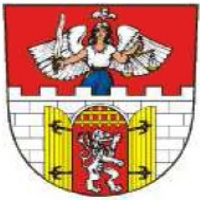 VEŘEJNÝ ZÁVOD V TERČOVÉ LUKOSTŘELBĚ  